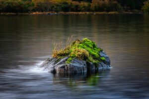 Sujet centré : rocher couvert de mousse au milieu d’un lac, illustrant une composition équilibrée malgré un cadrage central.
