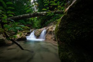 Photographie de cascade en forêt encadrée naturellement par des branches et des rochers, illustrant l’usage du cadrage naturel en composition.