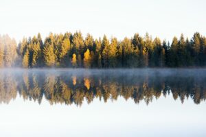 Photographie de forêt automnale parfaitement reflétée dans un lac calme, illustrant la symétrie naturelle.