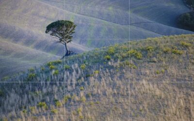 Comment maîtriser la composition au-delà de la règle des tiers