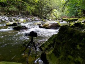 Appareil photo monté sur trépied dans une rivière en forêt, prise de vue pour pose longue en randonnée photo