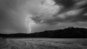 Éclair frappant une forêt sous un ciel orageux en noir et blanc