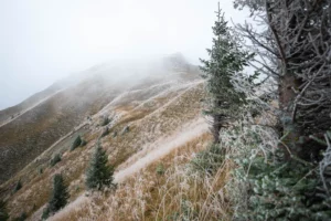 Crête enneigée et versant herbeux légèrement givré dans la brume