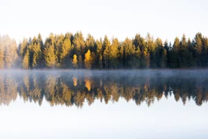 Reflets d’arbres aux couleurs d’automne dans un lac calme