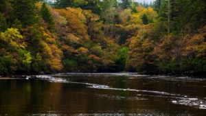 Rivière bordée d’arbres aux couleurs d’automne.
