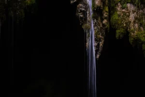 Cascade dans un sous-bois sombre, éclairée par une lumière dure créant un contraste marqué.