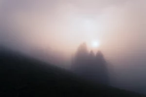 Brume teintée de rose avec un soleil diffus et des silhouettes d’arbres dans une atmosphère douce.