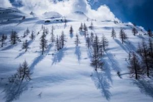 Paysage de montagne enneigé en hiver avec des arbres projetant de longues ombres sous une lumière dure.