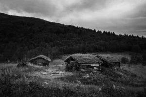 Chalets anciens dans une prairie de montagne photographiés à hauteur d’homme