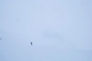 Randonneur solitaire dans le brouillard, photographié de loin sur un champ de neige