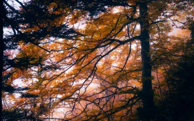 Photo de montagne : 8 points de vue à connaître absolument