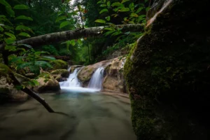 Pose longue sur une rivière en forêt, eau en mouvement adoucie autour des rochers.
