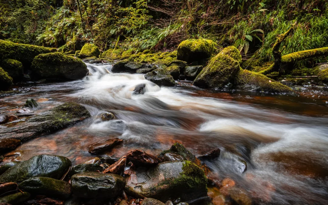10 erreurs fréquentes des débutants en photo de paysage