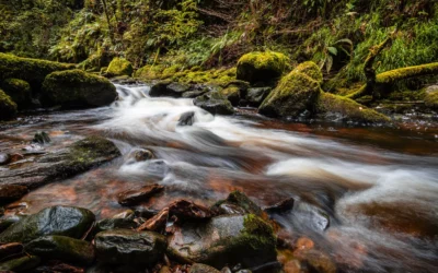 10 erreurs fréquentes des débutants en photo de paysage
