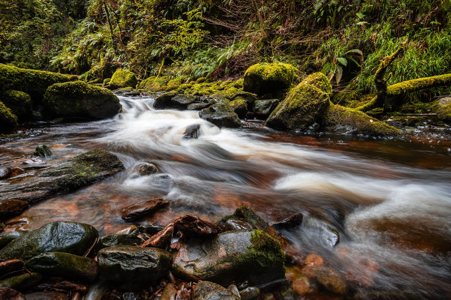 10 erreurs fréquentes des débutants en photo de paysage