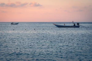 Horizon droit et de niveau en photo de paysage, offrant une composition plus stable et lisible