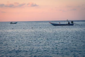 Horizon légèrement penché en photo de paysage, montrant un déséquilibre visuel dans la composition