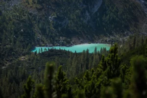 Branches de conifère floues au premier plan, lac turquoise et forêt au pied d’une montagne.