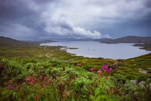 Fleurs et végétation au premier plan, route sinueuse et maisons rouges au bord d’un grand lac, ciel dramatique.
