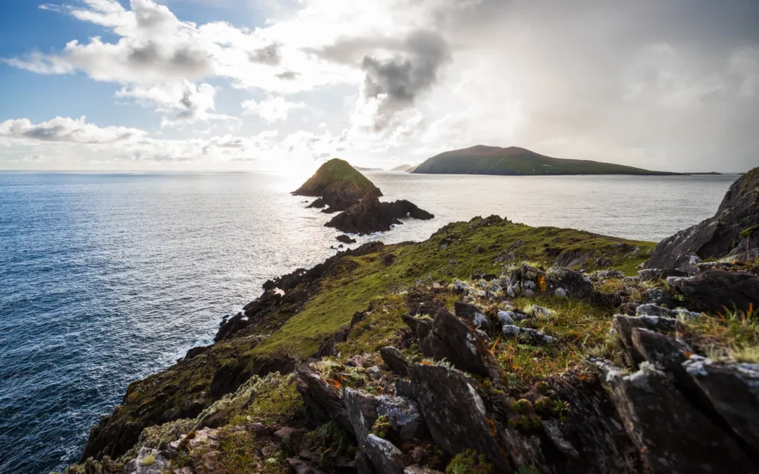 Premier plan photo de paysage : créez des images captivantes