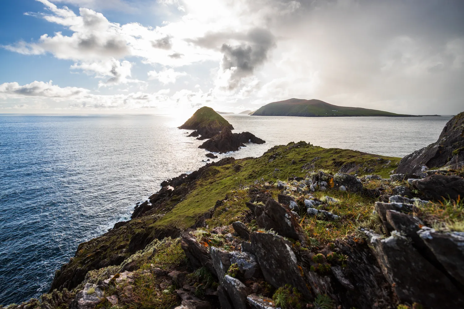 Premier plan photo de paysage : créez des images captivantes