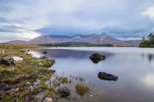 Rochers et herbes au premier plan sur la rive, lac calme et montagnes sous un ciel nuageux.