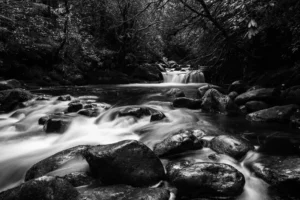 Rochers au premier plan dans une rivière, eau en mouvement et petite cascade, photo en noir et blanc.