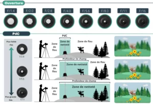 Schéma expliquant la profondeur de champ en photographie selon l’ouverture, avec zones de netteté et de flou